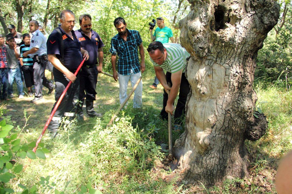 Piknikte Yılan Paniği