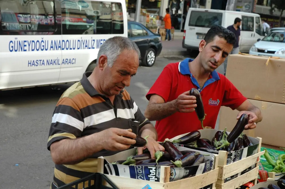 Vatandaşlardan Patlıcana Rağbet