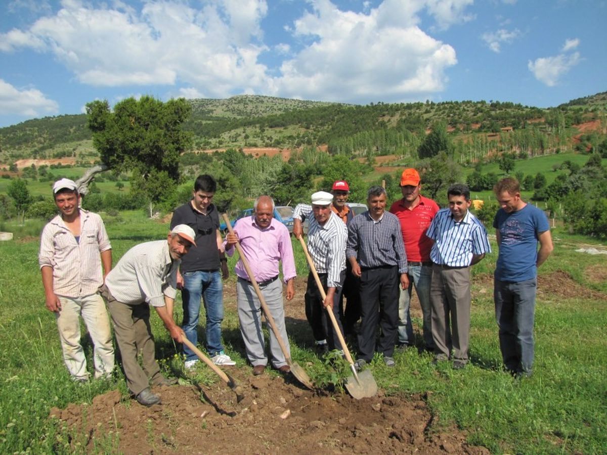 Hisarcık Karbasan Belediyesine Ücretsiz 1000 Ceviz Fidanı