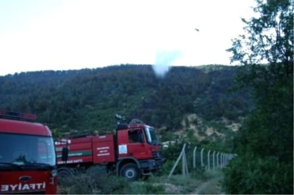 Kahramanmaraş\'taki Orman Yangını