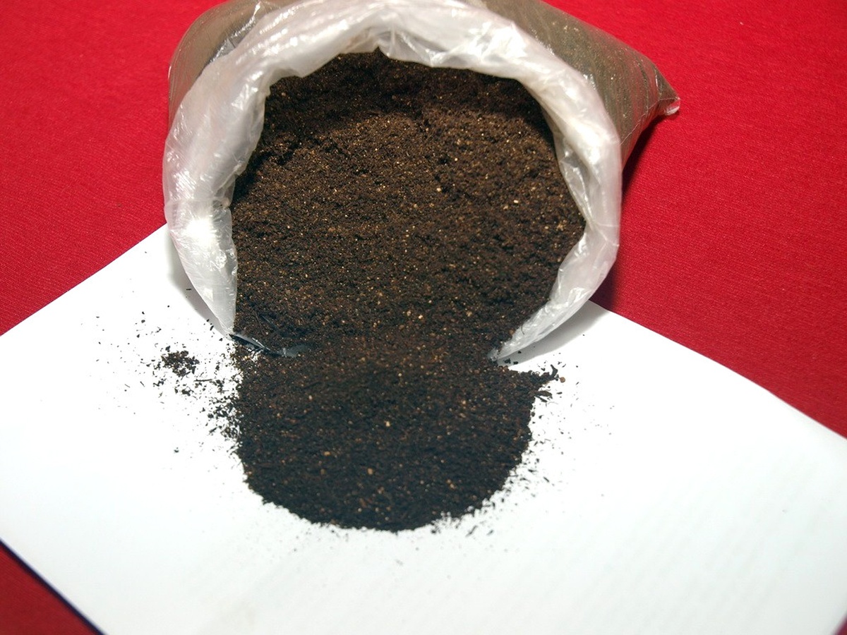 "Organik Çay İçin Organik Çay Gübresi" Ele Alındı