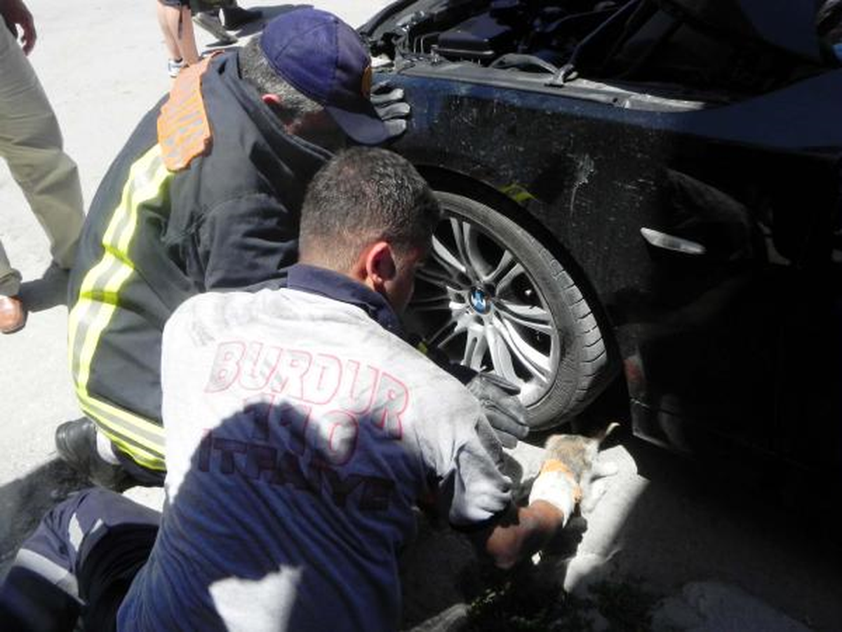 Otomobilin Kaportasına Sıkışan Kediyi İtfaiye Kurtardı