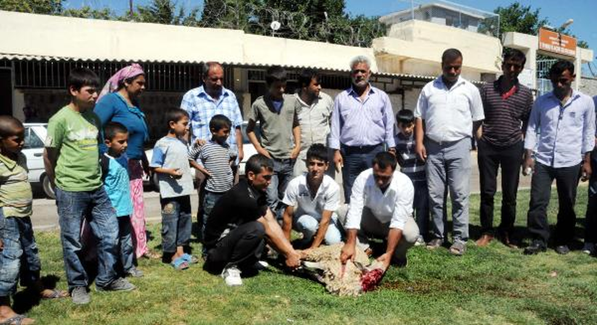 Cezaevi\'nde Hayat Normale Dönüyor