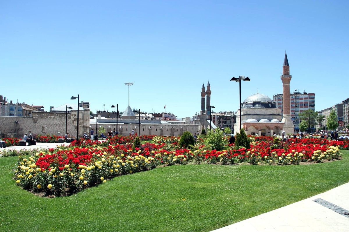 Sivas\'ta 3 Bin Gül Açtı
