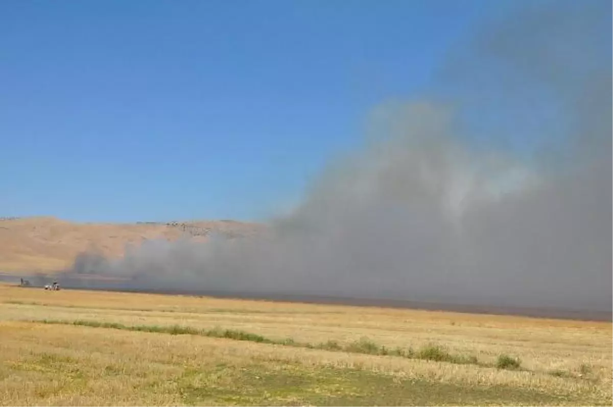 Türkiye- Suriye Sınırında Yangın Paniği
