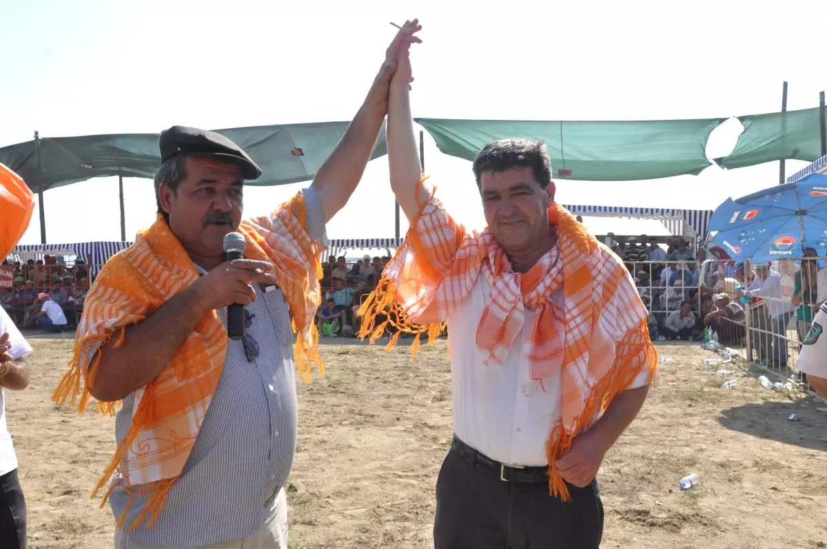 Üniversiteli Kızlar Yararına Boğa Güreşi