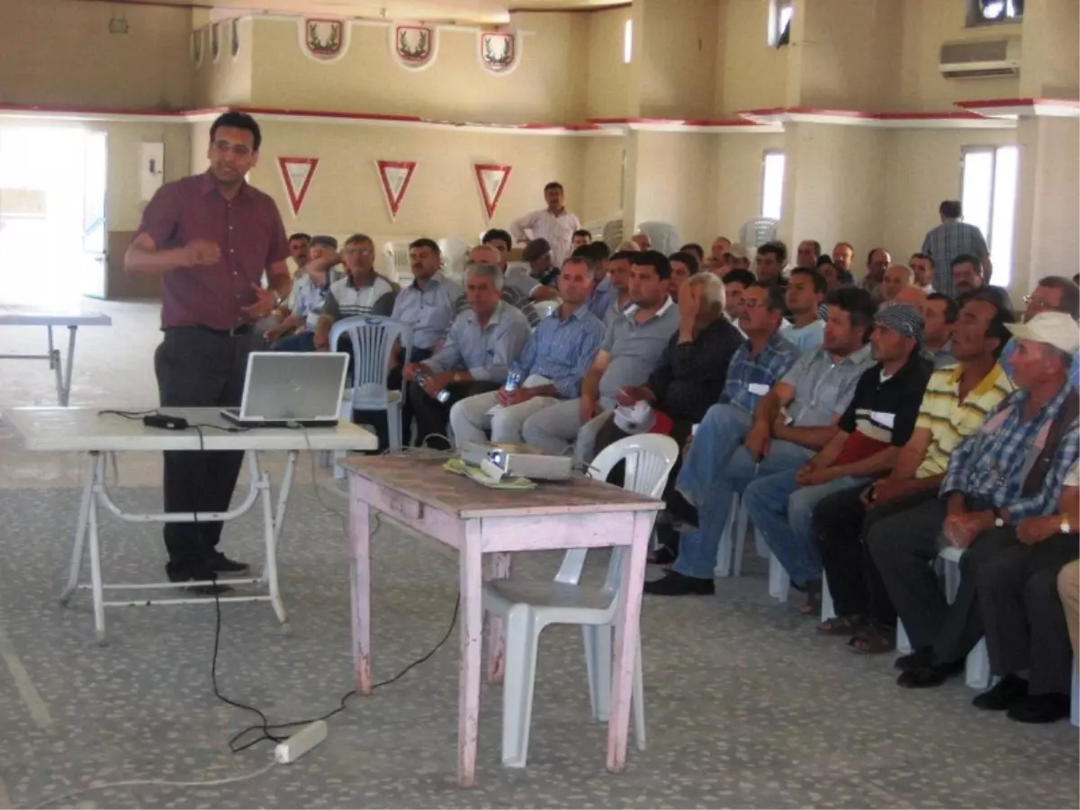 Zeytinliova'da, Zeytin Üreticilerine Eğitim