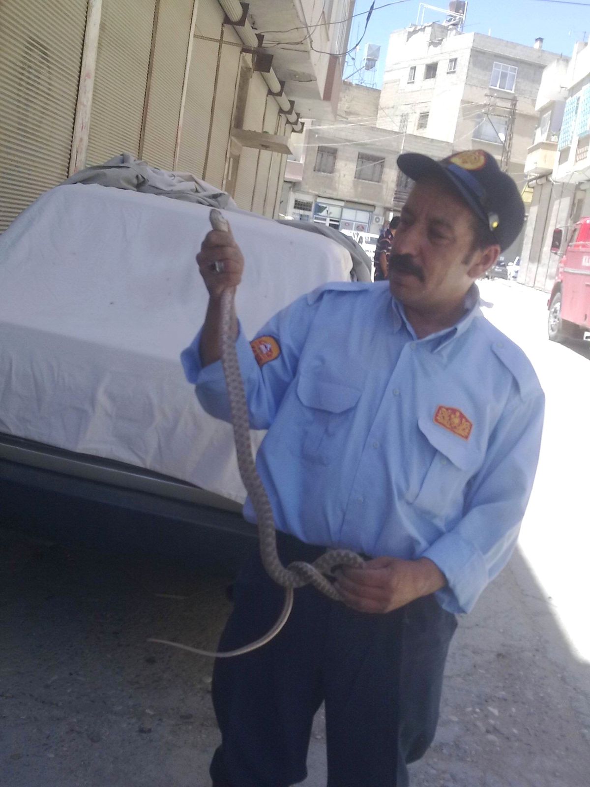 Aşırı Sıcaklar Nedeniyle Evlerde Yılan Görülmeye Başlandı