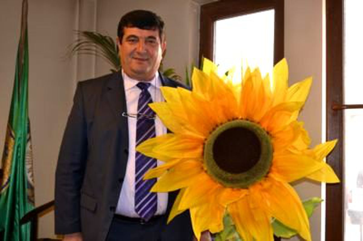 Buğday\'dan Yüksek Verim Alan Trakya Çifçisi Yüksek Fiyat Bekliyor