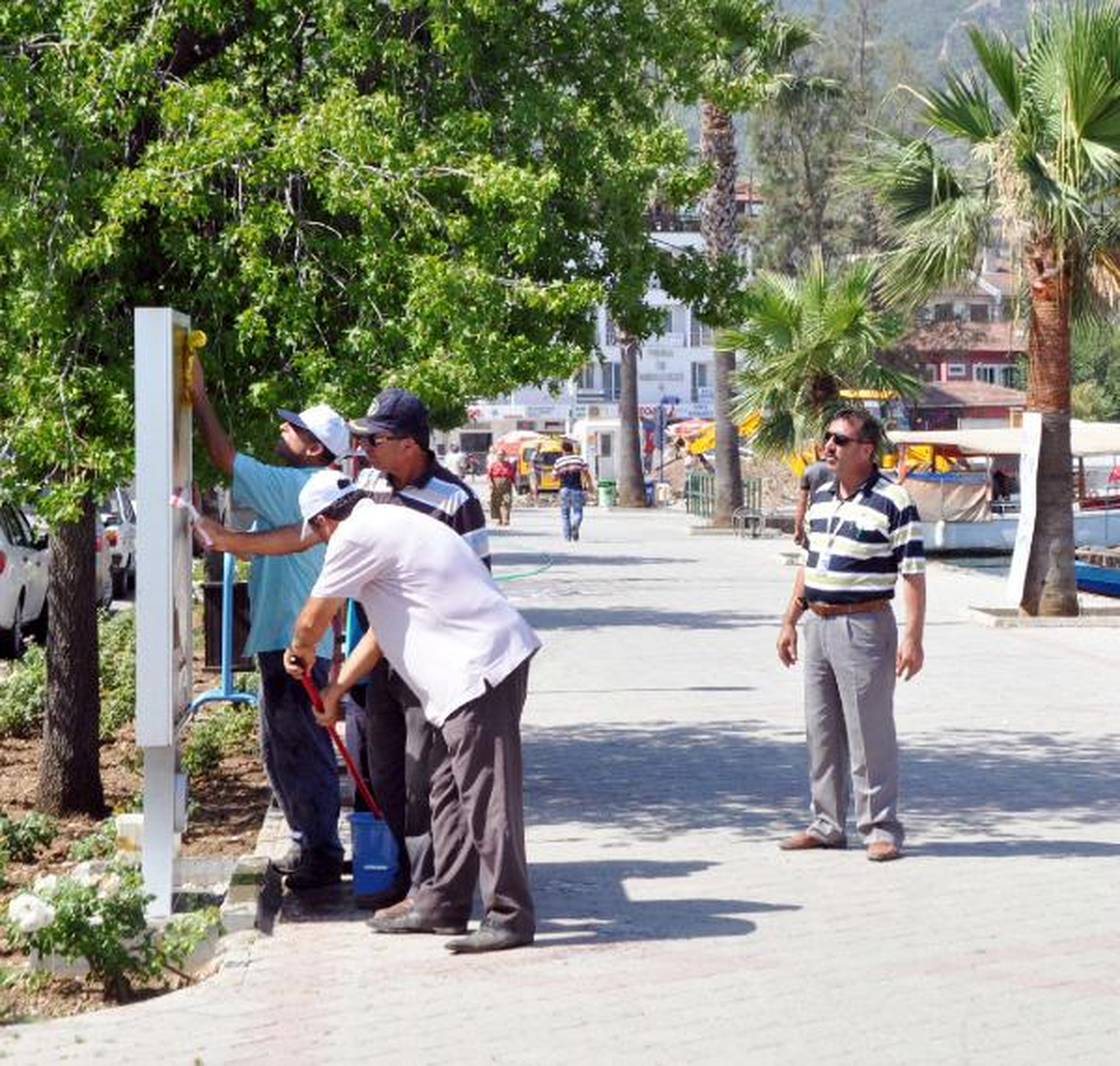 Çöpe Atılan Atatürk Portreleriyle İlgili Soruşturma Başlatıldı