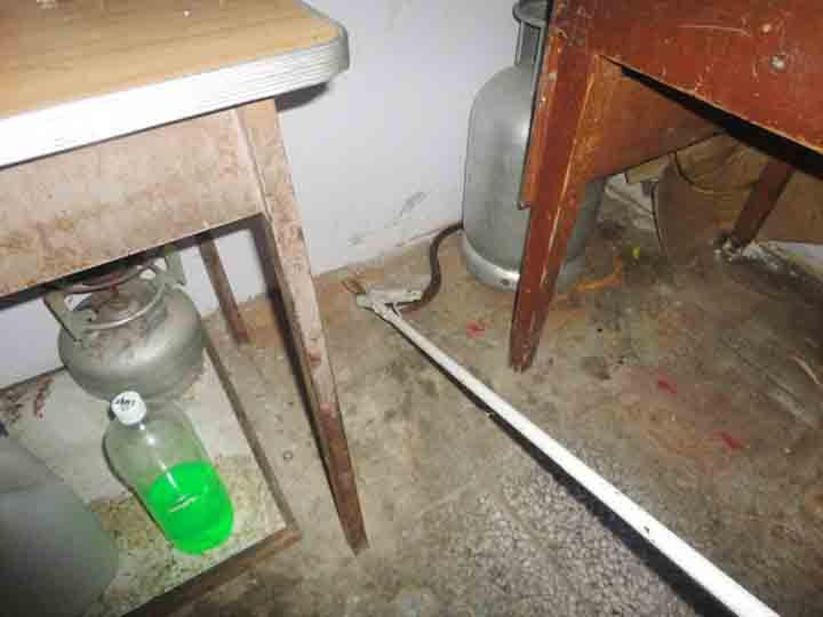 Denizli İtfaiyesinden Yılan Operasyonu