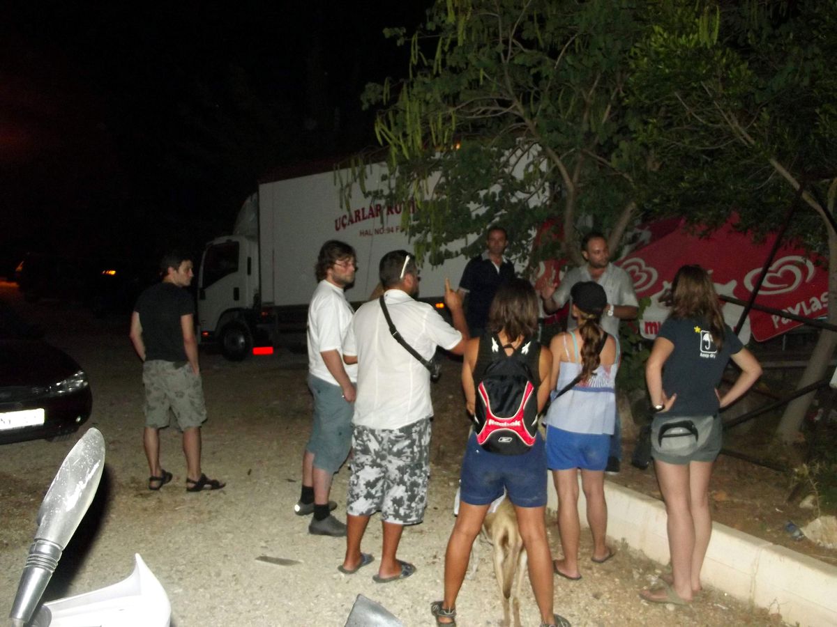 Esir Yunuslardan İkisi Bodrum\'a Nakledildi