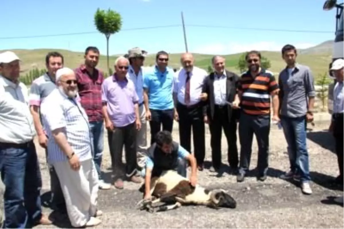 Kop - Vauk Dağı Karayolu Çalışmaları Başladı