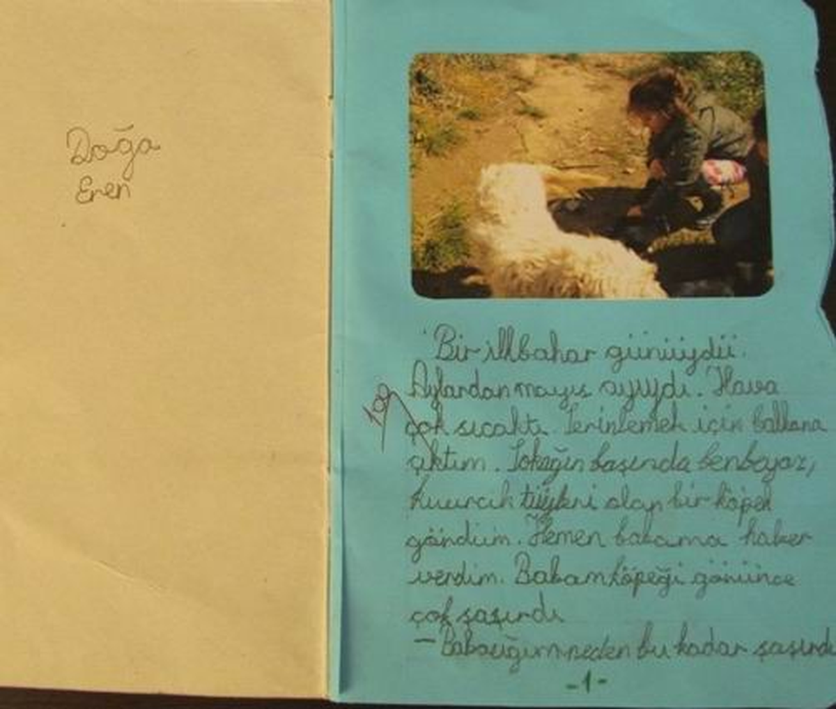 Köpek Sevgisi Küçük Kızı Yazar Yaptı