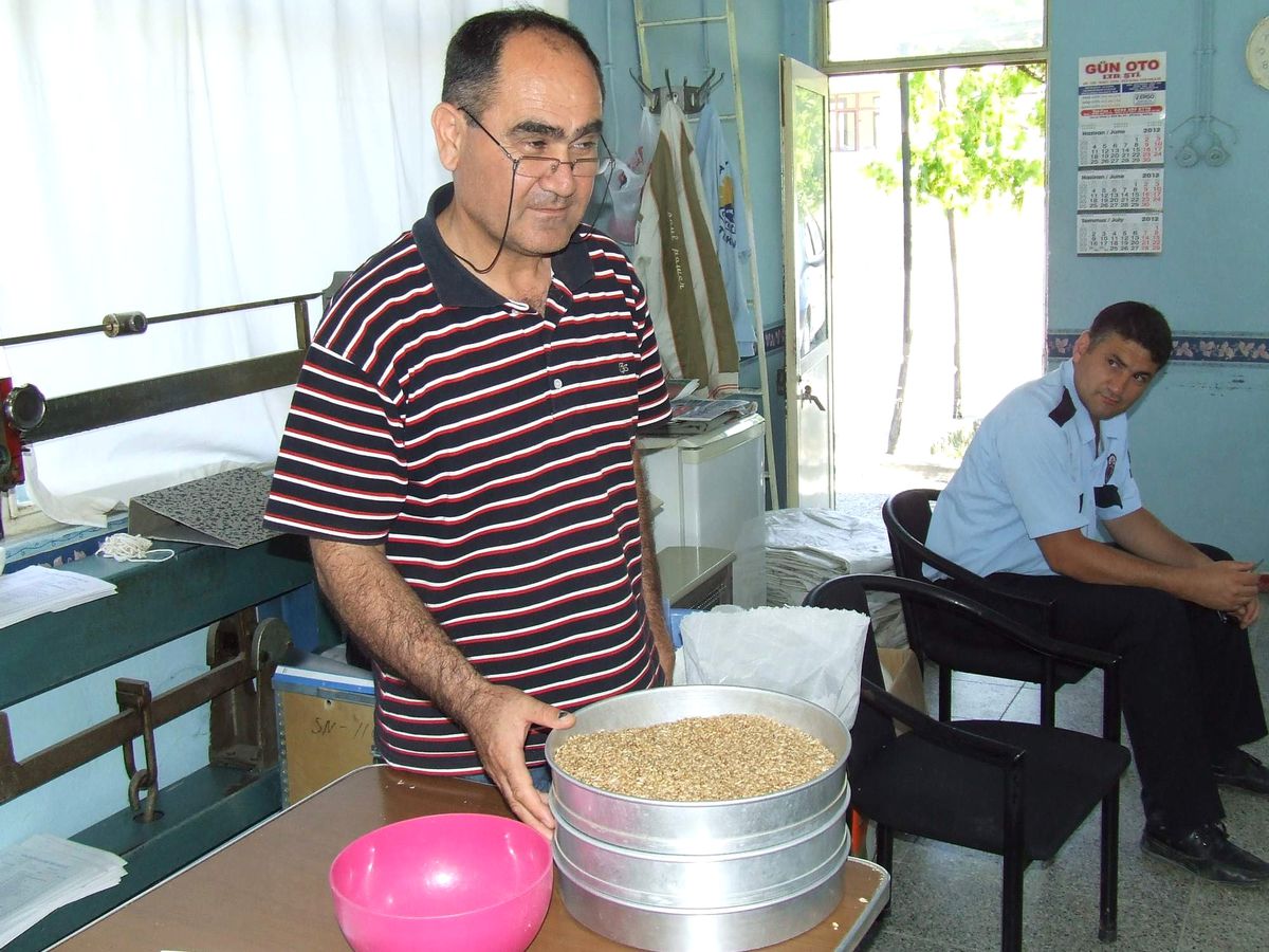 Ofis Ortaca ve Fethiye'de Buğday Alımlarına Başladı