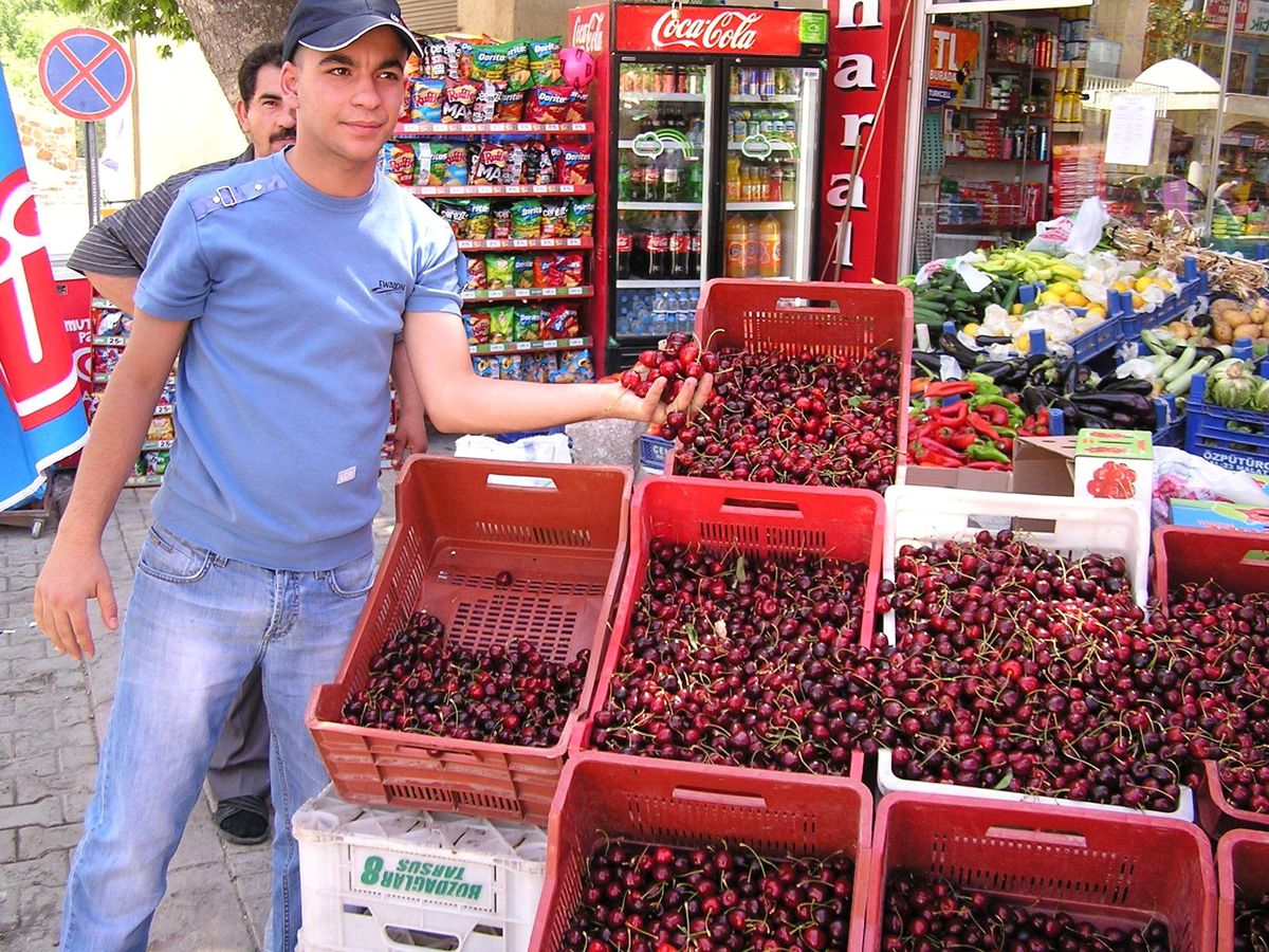 Yeşilyurt\'da Kiraz Şenliği Hazırlığı