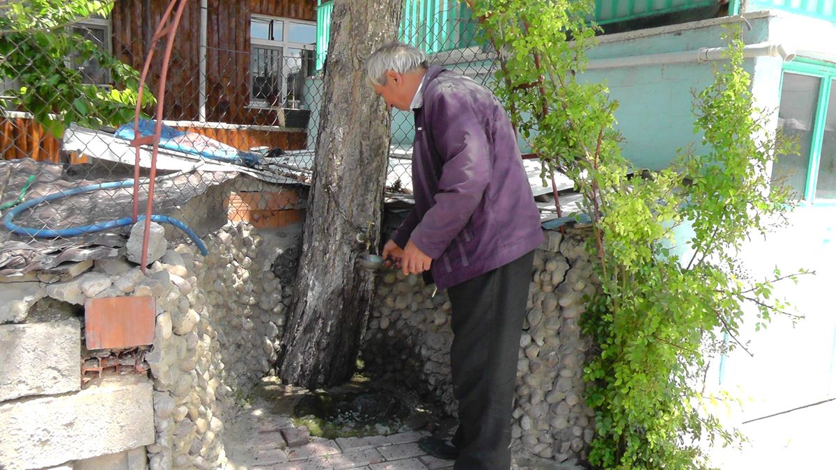 Çam Ağacından Susuzluklarını Gideriyorlar