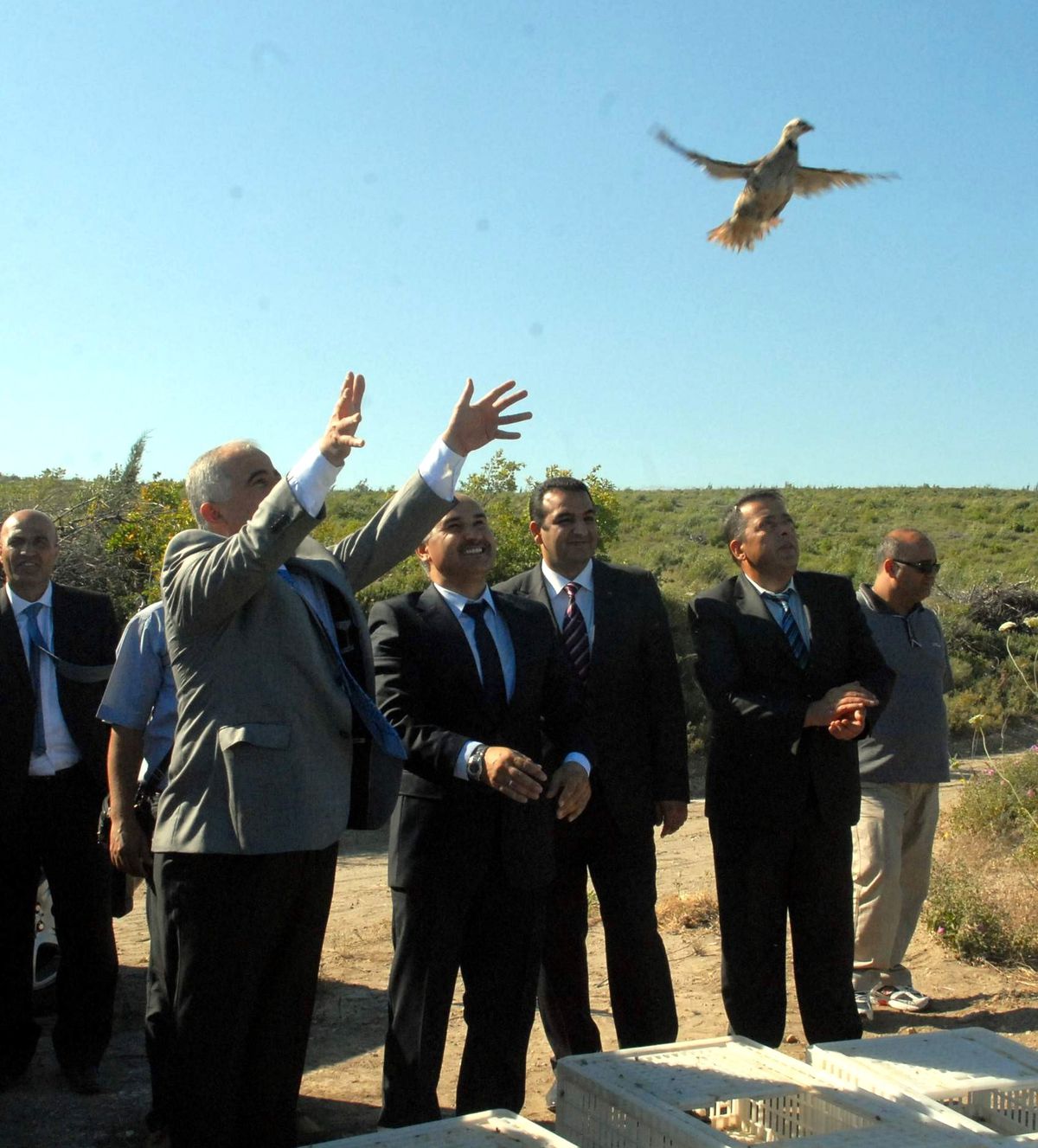 Çanakkale\'de Yanan Ormanı Canlandırma Çalışmaları Sürüyor