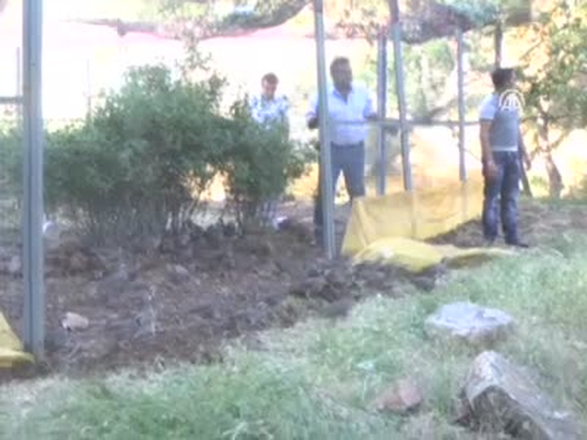 Keneyle Mücadele İçin
