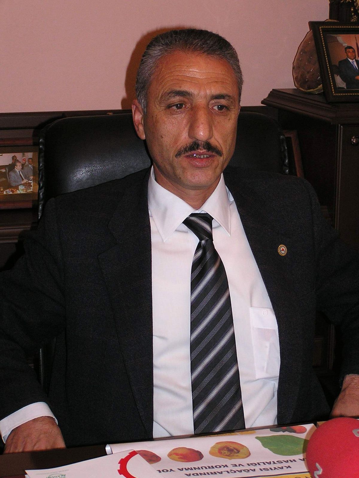 Malatya\'da Kayısı Rekoltesinin Yüksek Olması
