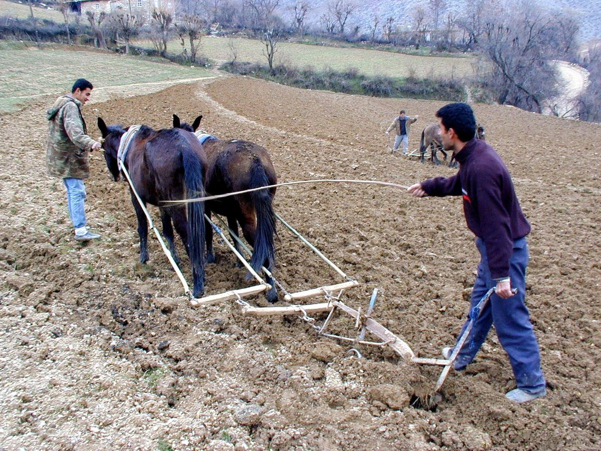 Ordu\'da Karasaban Hala Gözde