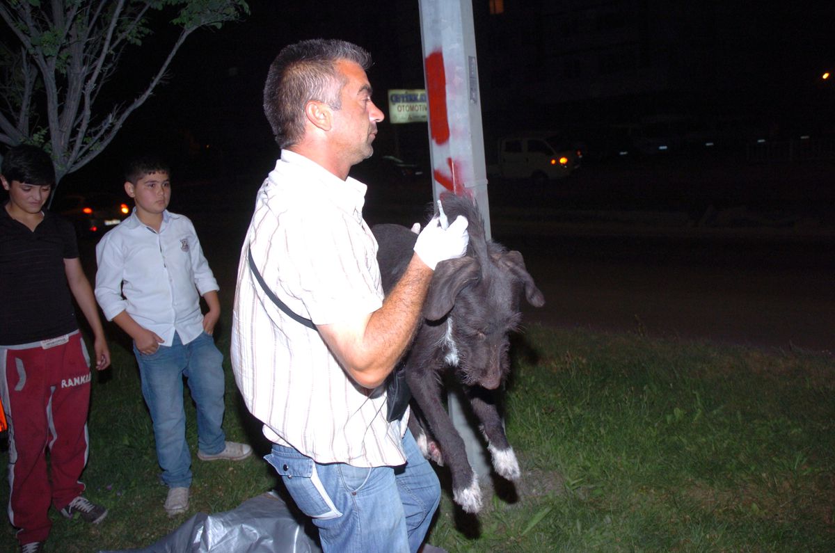 Sürücünün Yapamadığını Çocuklar Yaptı
