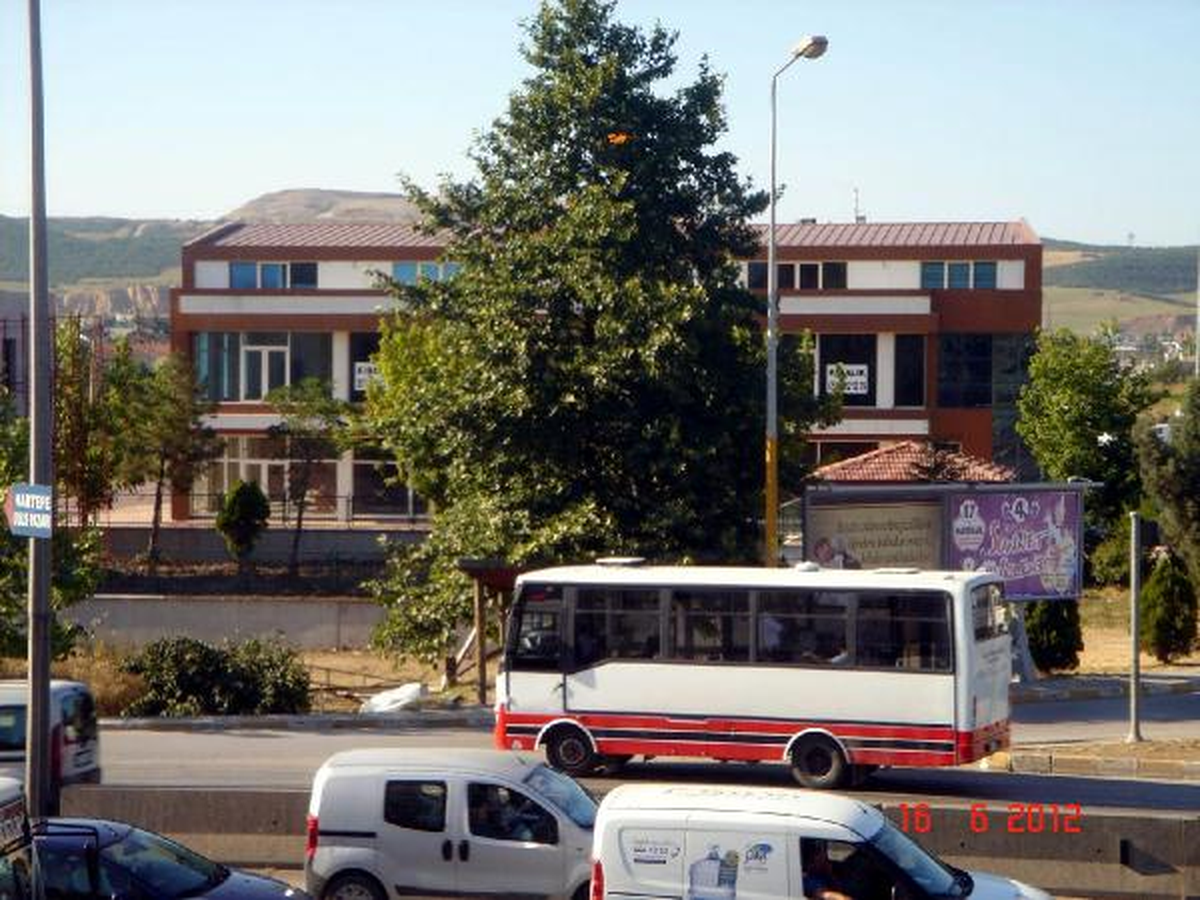 \'Ak Parti Yazısı Görünsün Diye, Çınar Ağacının Yarısını Kestiler\' İddiası
