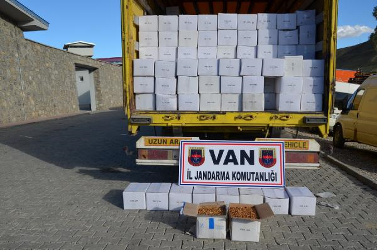 Başkale\'de 20 Ton Kaçak Ceviz İçi Ele Geçirildi