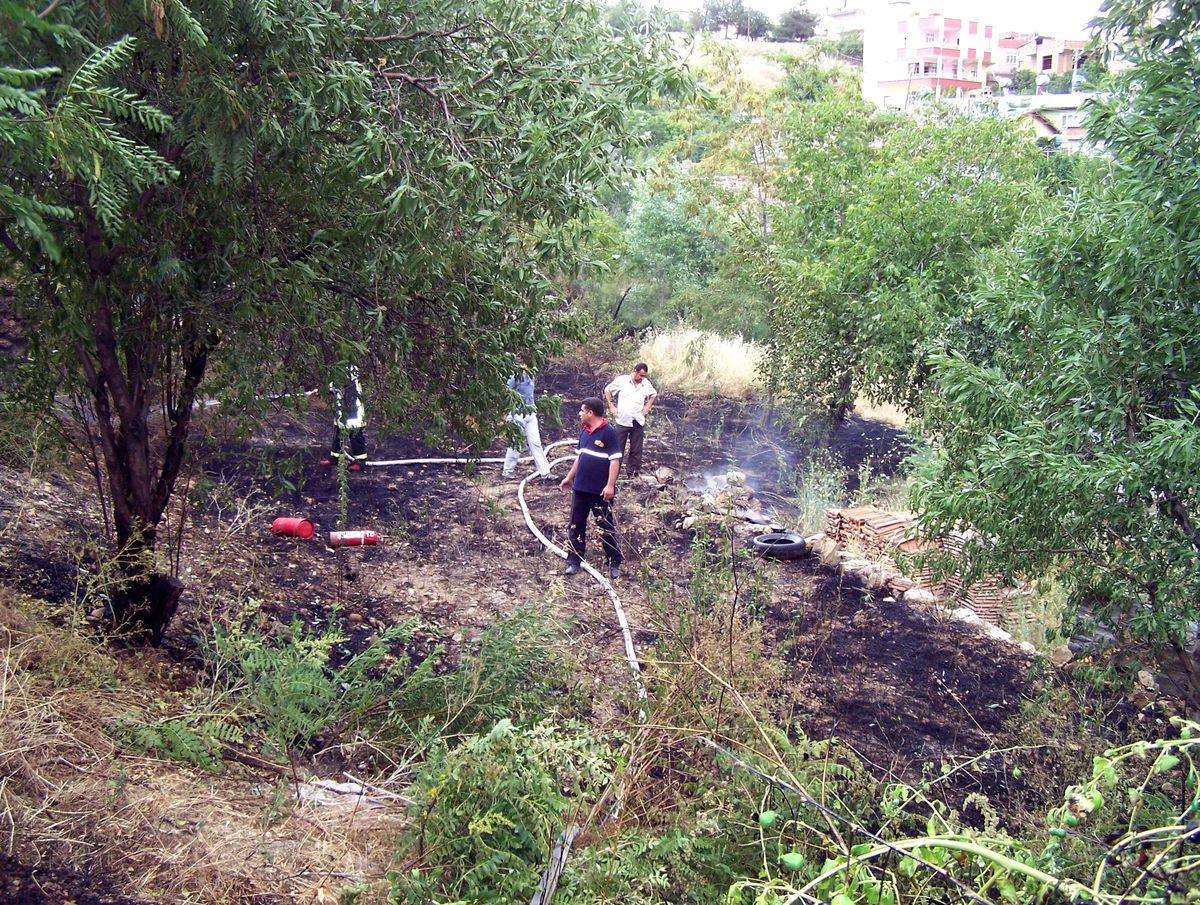 Besni\'de Yangın