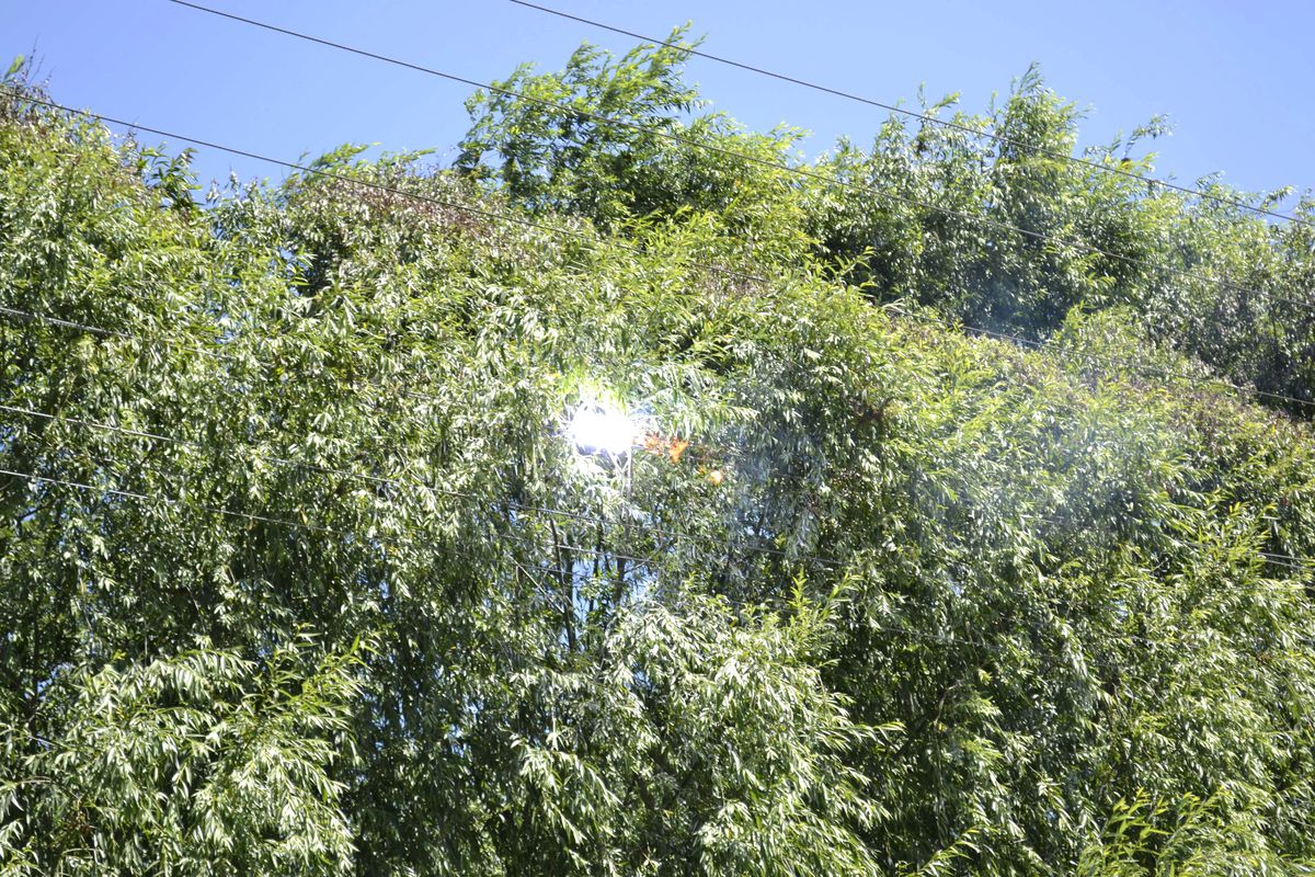 Elektrik Tellerinden Caddeye Kıvılcım Yağmuru