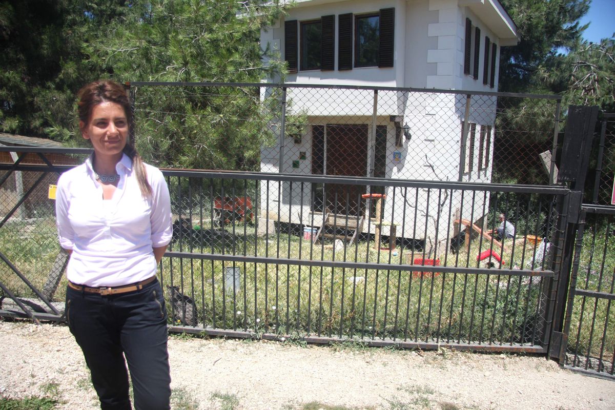 Fareler İçin Kedi Timi