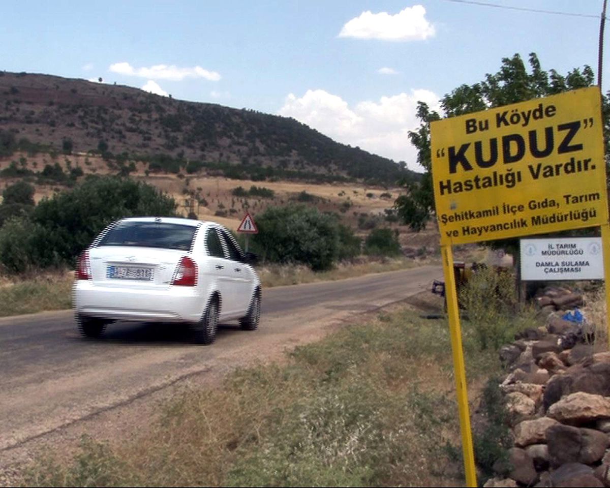 Gaziantep\'te Bir Köy Kuduz Nedeniyle Karantinaya Alındı