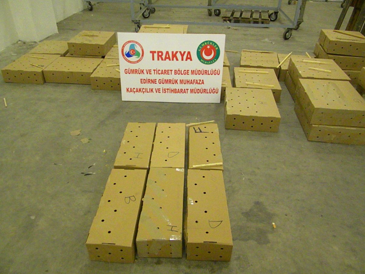 Kapıkule\'den Kuş Uçurtulmuyor