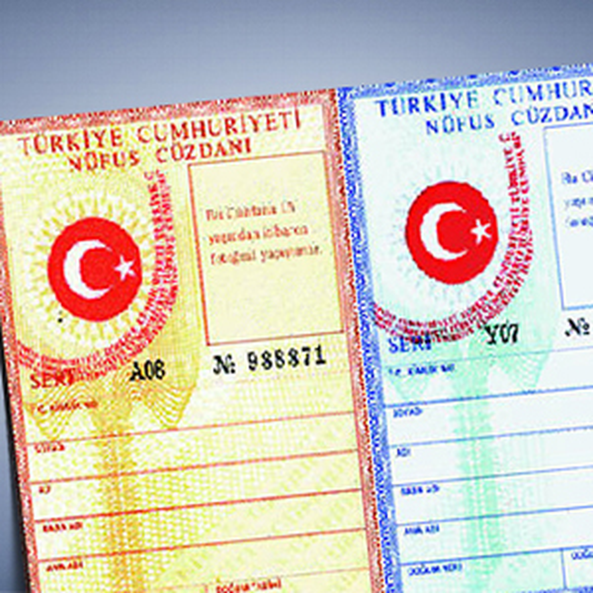 Kimlik Numarası, Adli Kaydınız Olacak