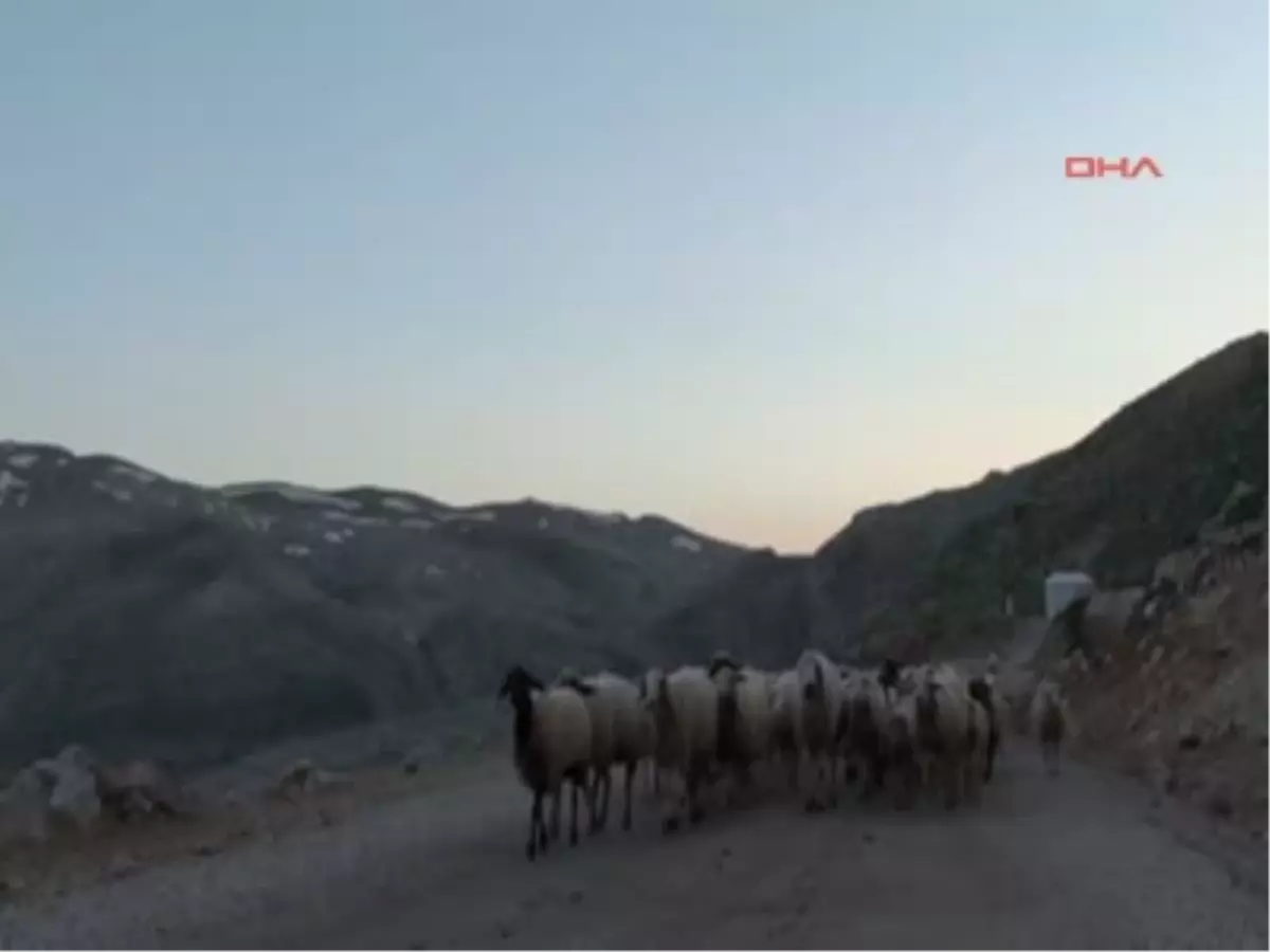 Yaylada Tablo Gibi Kar Manzarası