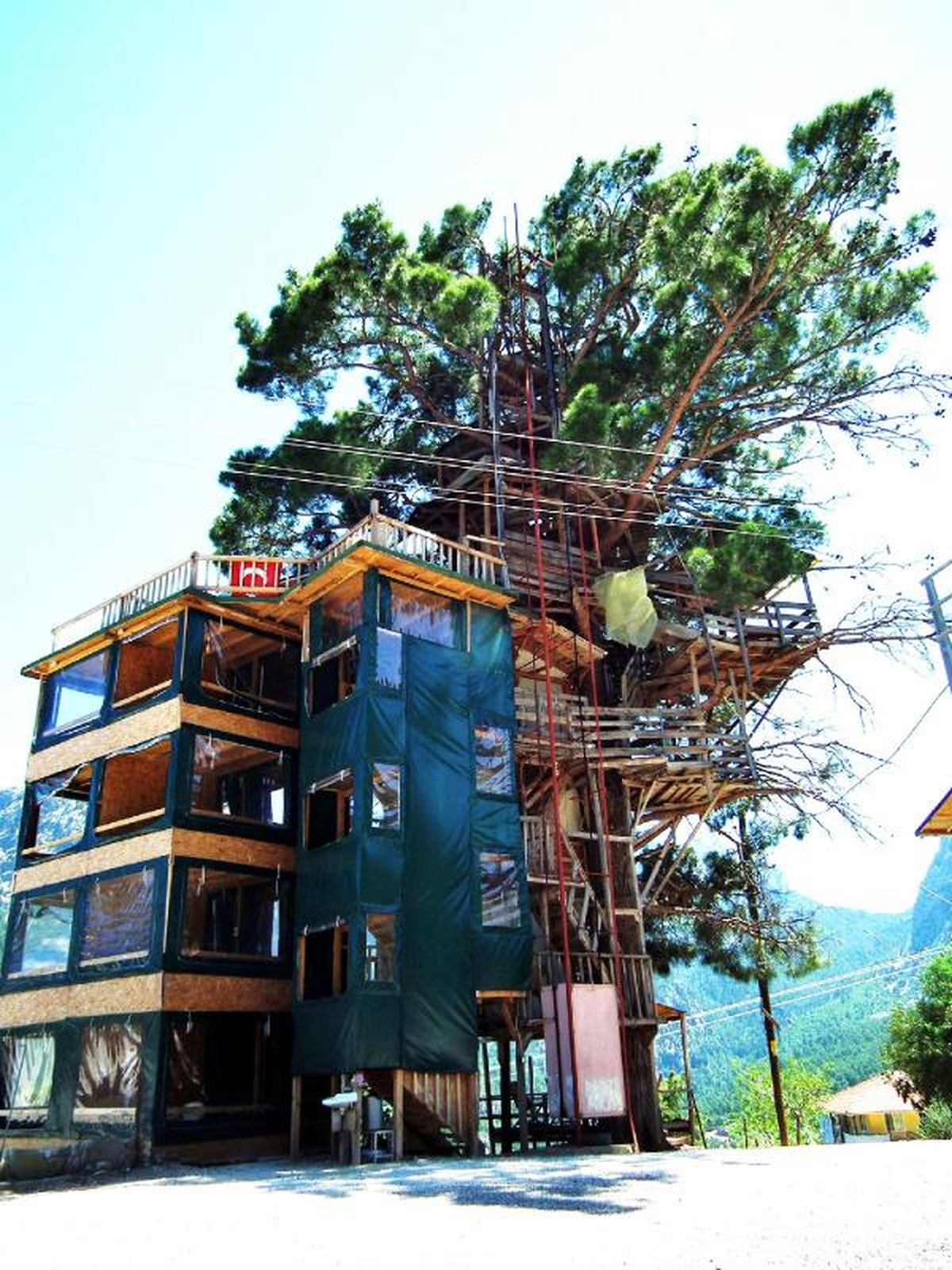 Çam Ağacında "Apartmankondu"
