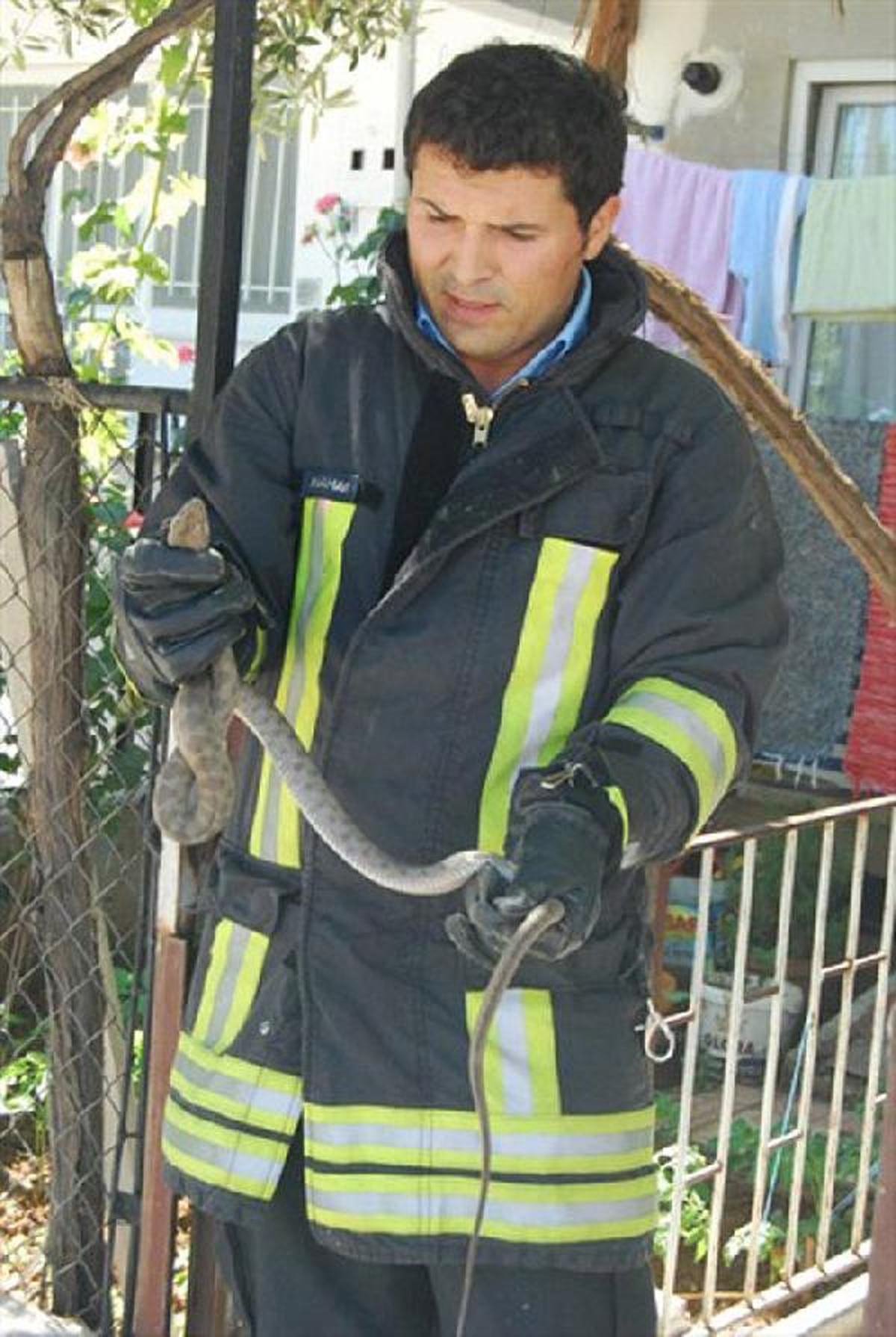 Eve Giren Yılan, Doğal Ortamına Bırakıldı