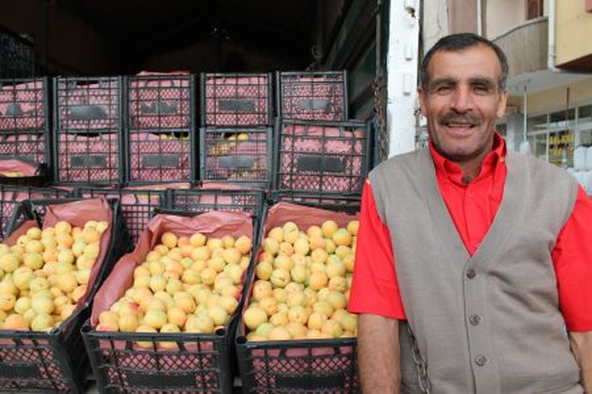 Iğdır Kayısı Pazarda Yerini Aldı