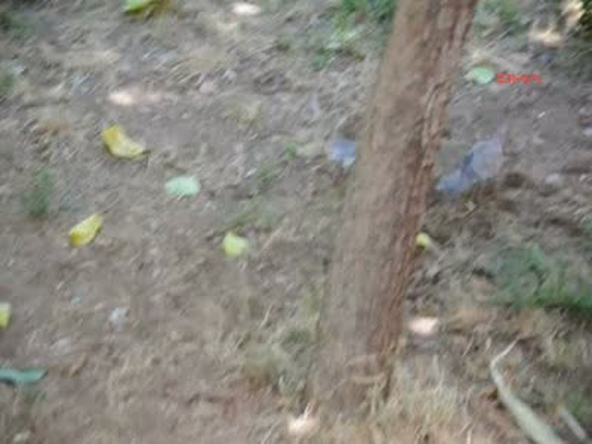 Kumruların Oyunu Ölümle Bitti