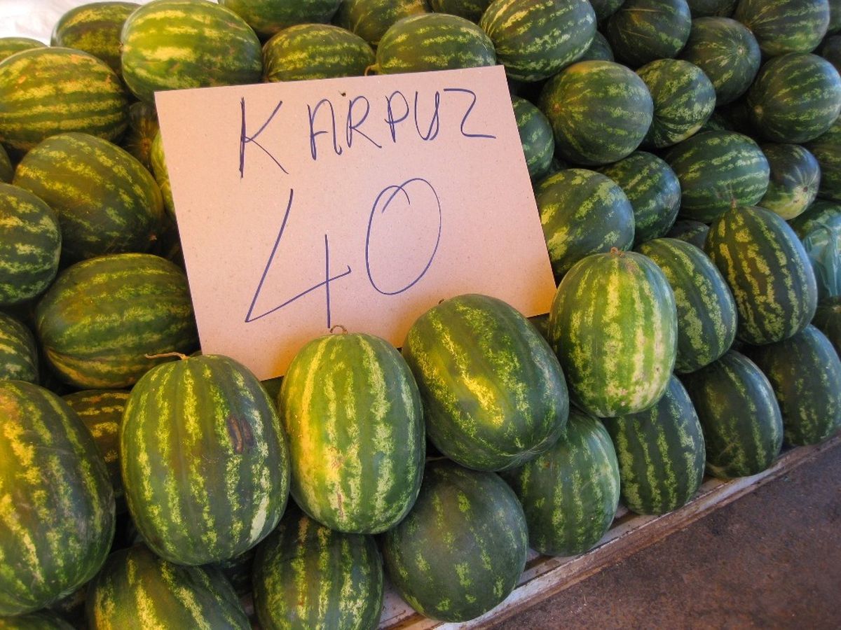 Ödemişli Karpuz Üreticileri Kelek Karpuz Konusunda Uyarıldı