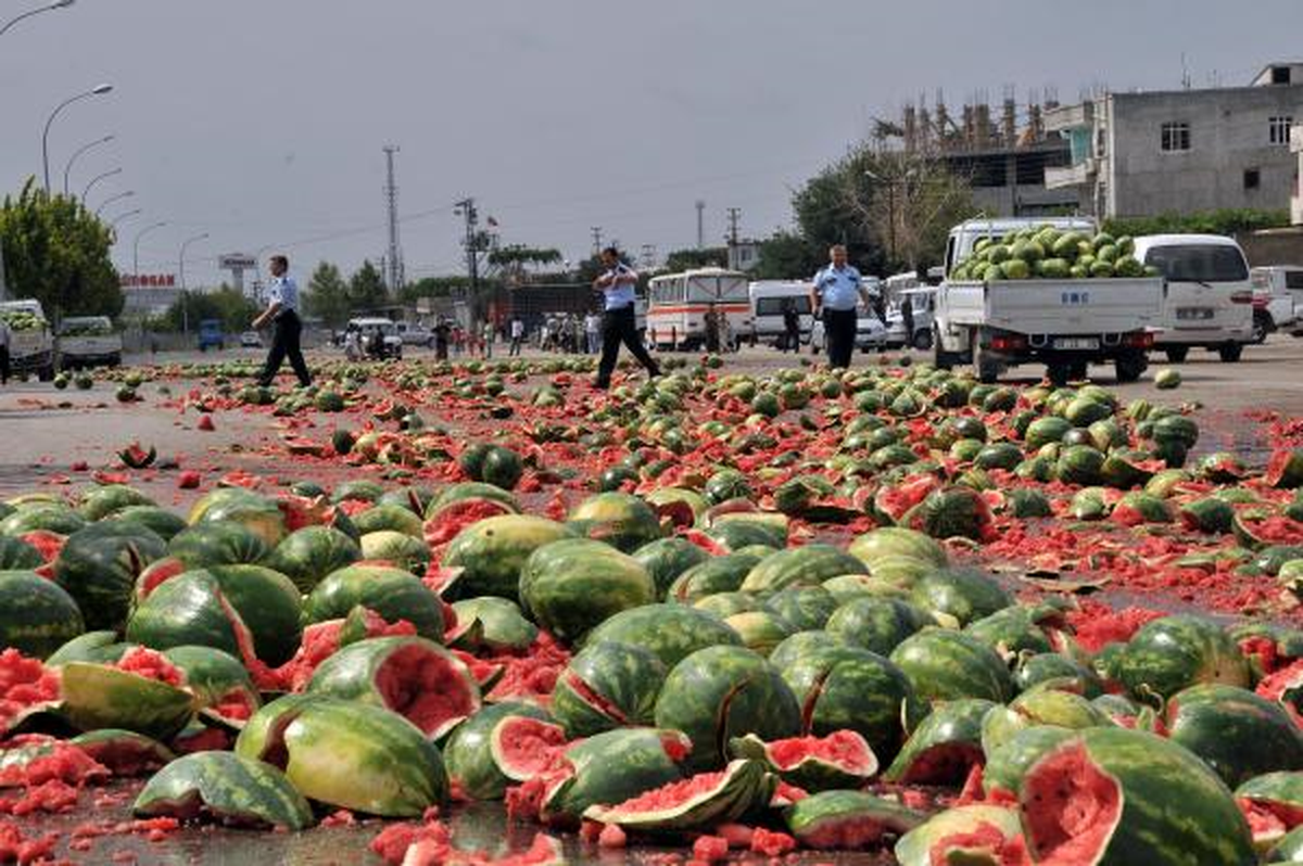 Seyyarlar Zabıtaya Kızdı, Karpuzları Yola Döktü