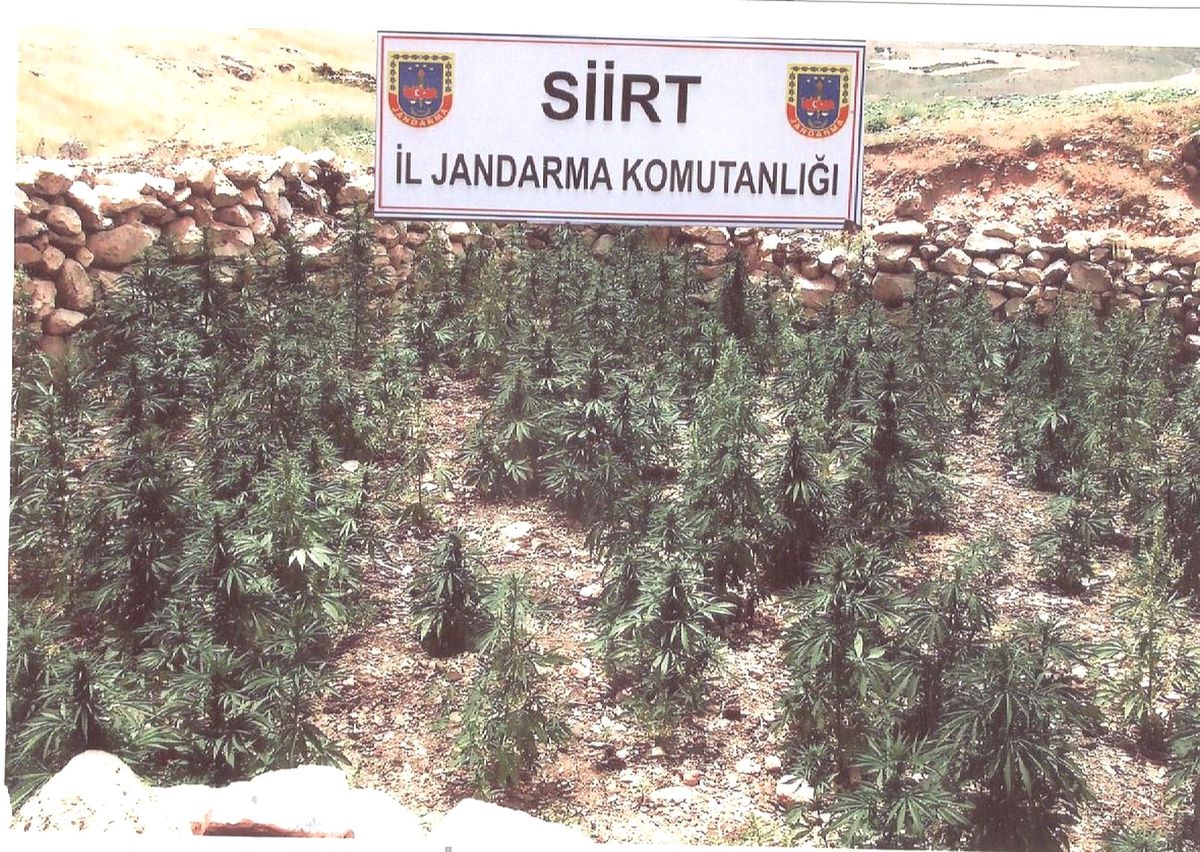 Siirt\'te Uyuşturucu Operasyonu