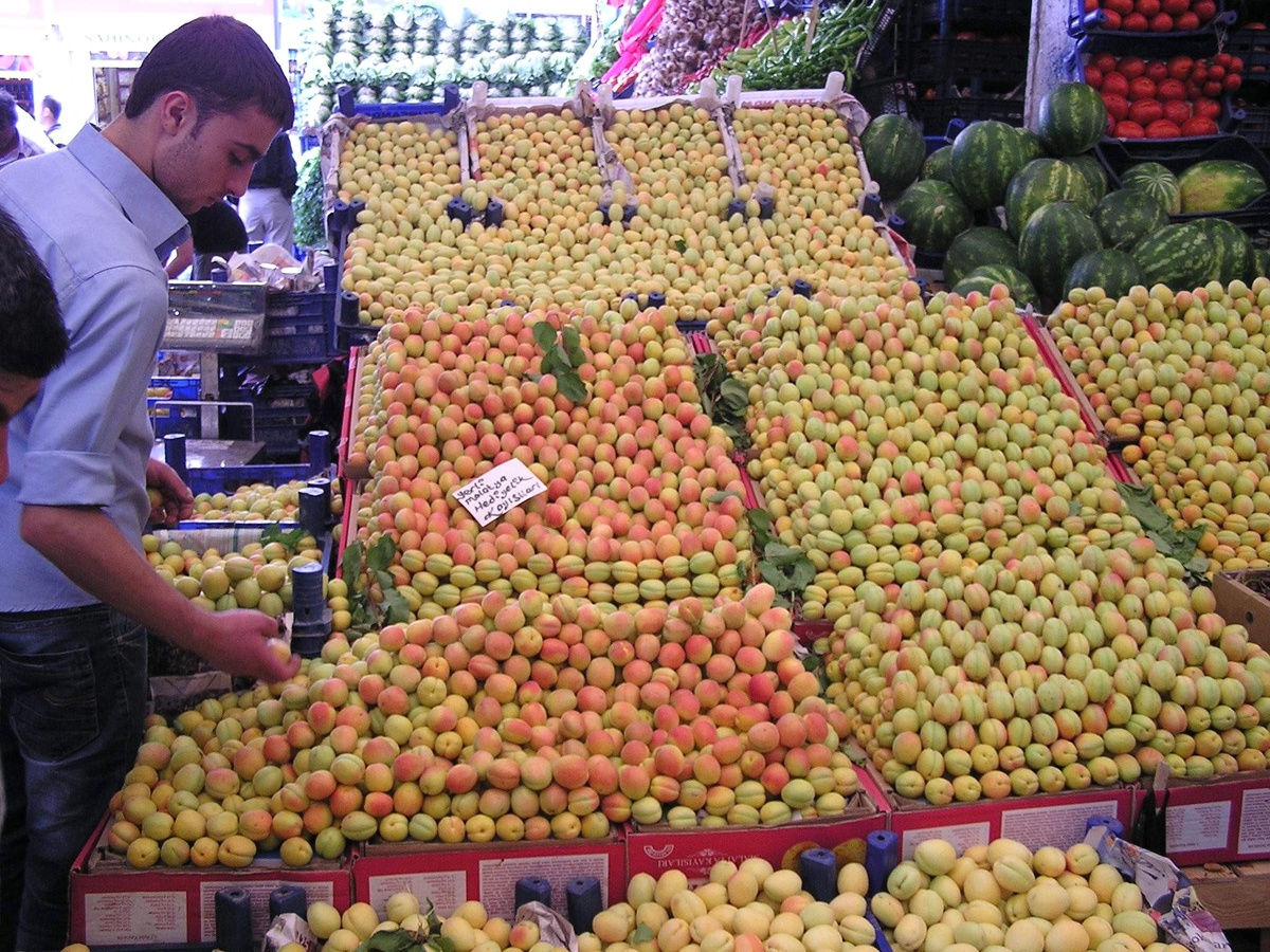 Yaş Kayısının Fiyatı Günden Güne Düşüyor