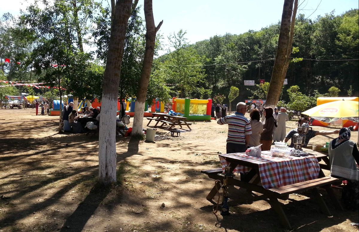 Yukarızeytinliler Piknik Şöleninde Buluştu