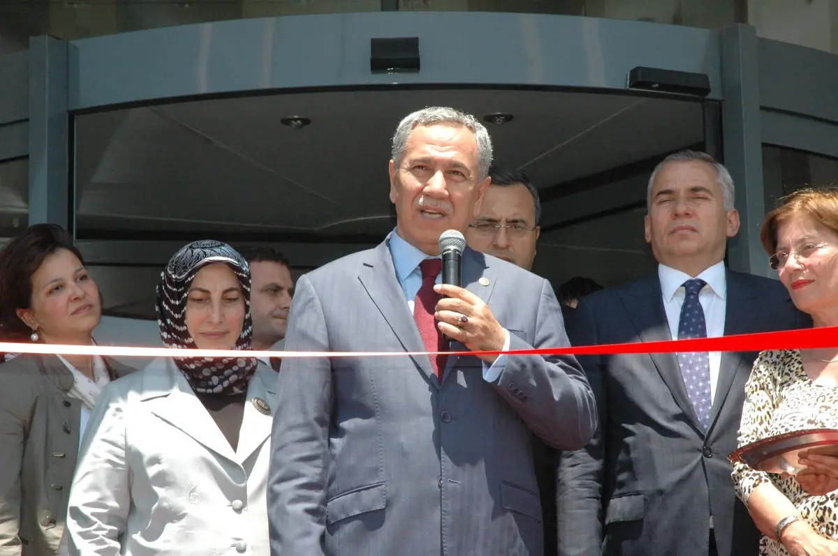 Başbakan Yardımcısı Arınç: "Düşürülen Uçakla İlgili Aramalar Sürüyor"