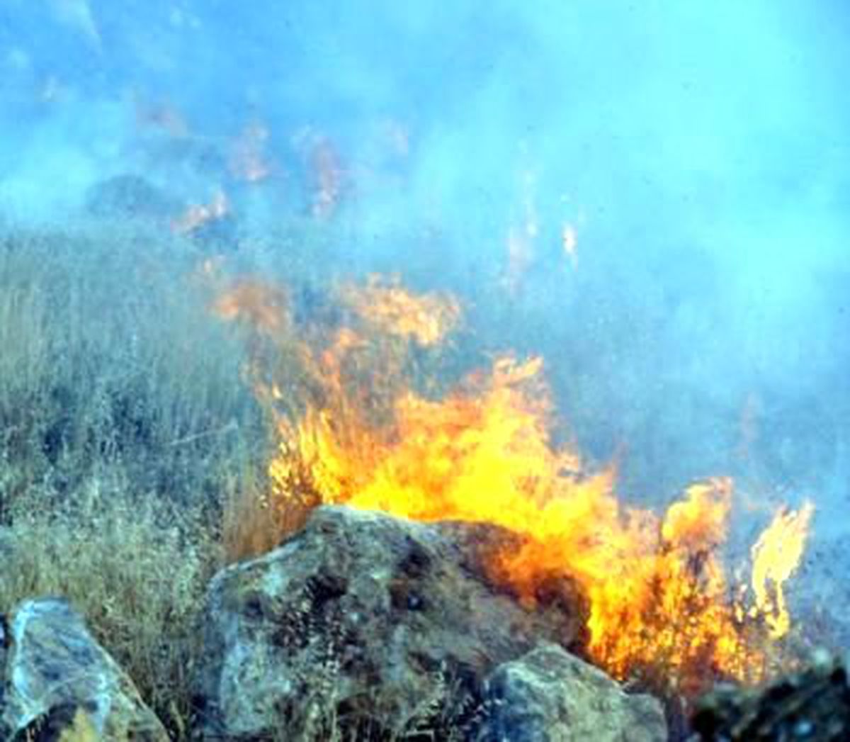 Bodrum\'da Ciğerlerimiz Yandı