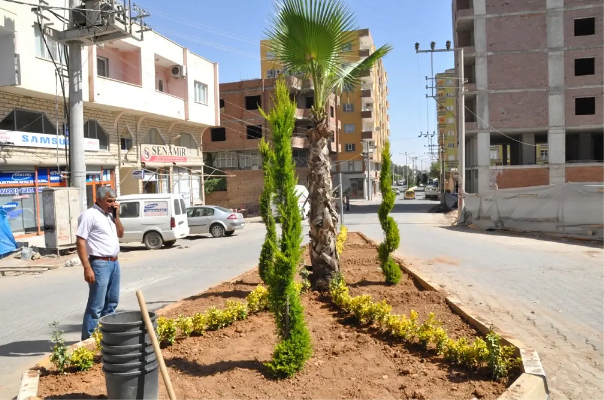 "Her Şey Yeşil Bir Kızıltepe İçin" Projesi