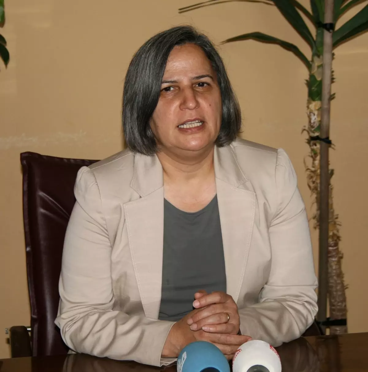 Kışanak, Türk Jetinin Vurulmasını Değerlendirdi