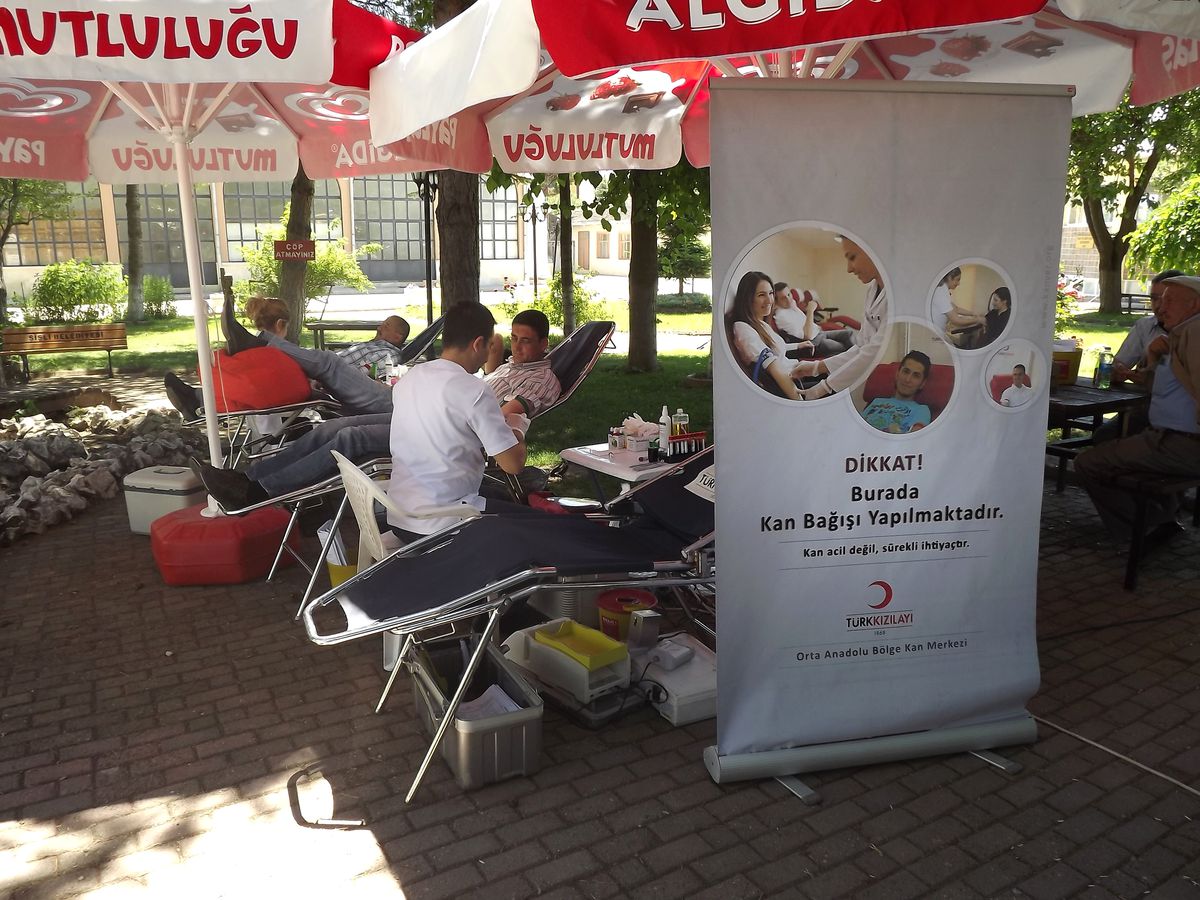 Kızılay Daday\'da Kan Bağışı Kampanyası Düzenledi