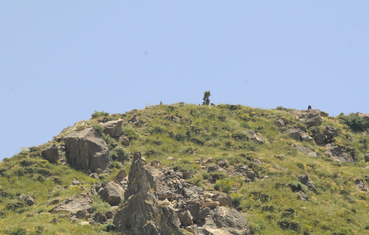 Sınır Bölgesindeki Askeri Hareketlilik Devam Ediyor